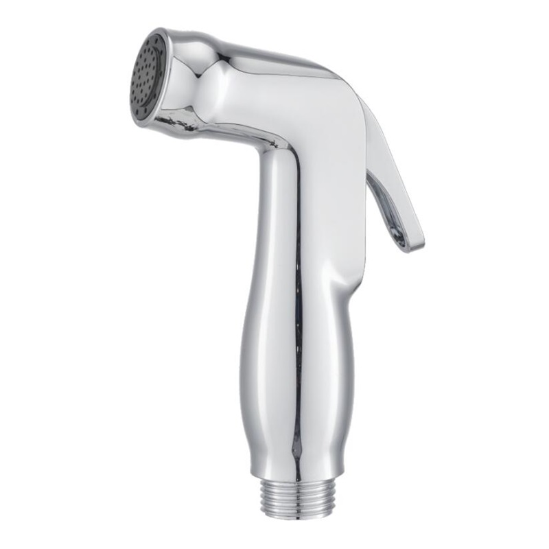 Luxury Bidet Sprayer for Toilet