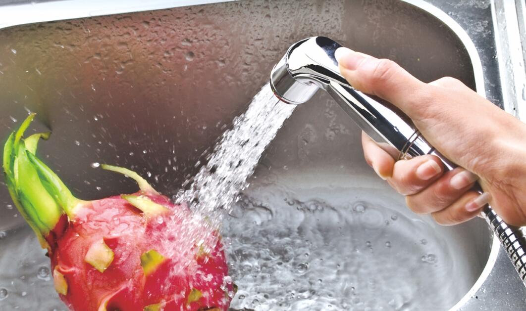 Bidet Toilet Sprayer Head-Handheld Bidet Sprayer